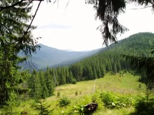 Стежками УПА