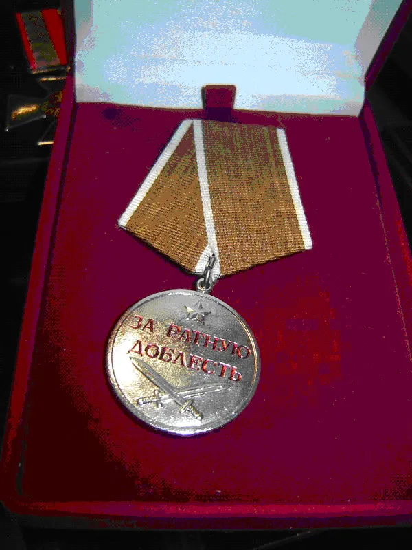 РФ нагородила В. Пшонку медаллю "За ратную доблесть"